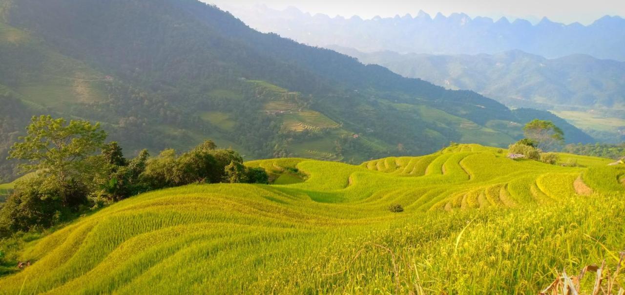 Central Backpackers Hostel Хазянг Экстерьер фото